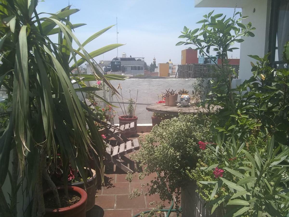 Hostal El Cascabel Cholula Esterno foto